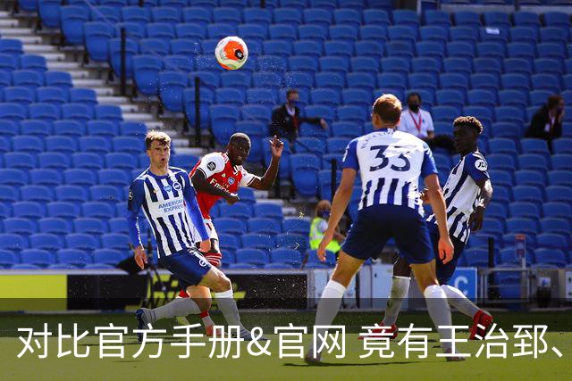 对比官方手册&官网 竟有王治郅、杜锋、杨鸣等30多名球员年龄存疑
